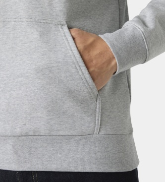 Helly Hansen Sweat à capuche Core Graphic gris