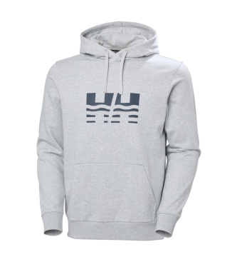 Helly Hansen Sweat à capuche Core Graphic gris