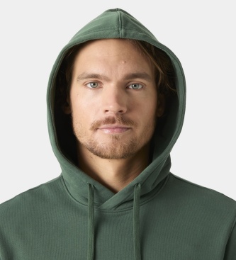Helly Hansen Sweat à capuche Core Graphic vert
