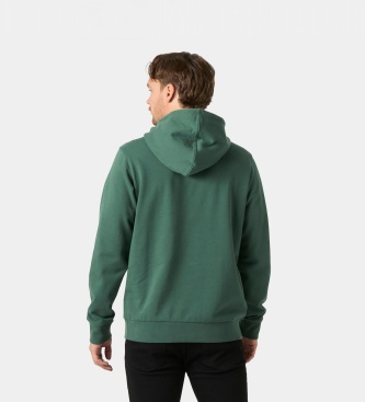 Helly Hansen Sweat à capuche Core Graphic vert
