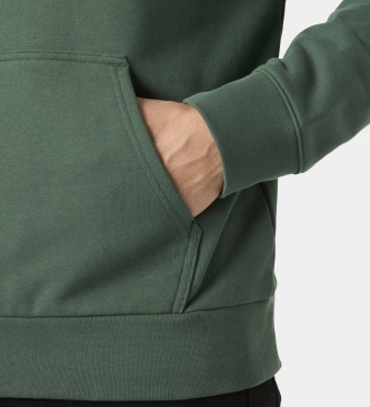 Helly Hansen Sweat à capuche Core Graphic vert