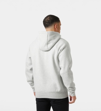 Helly Hansen Sweat à capuche Elevate gris