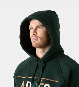 Helly Hansen Sweat à capuche Elevate vert