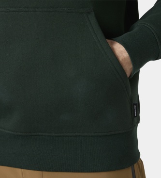 Helly Hansen Sweat à capuche Elevate vert