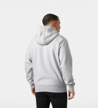 Helly Hansen Sweat à capuche zippé Elevate gris