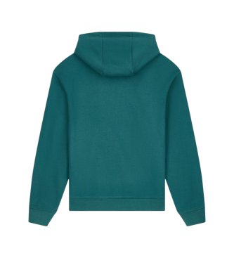 A|X Armani Exchange French terry green hoodie