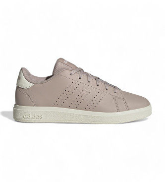 adidas Turnschuhe Advantage Base 2.0 taupe