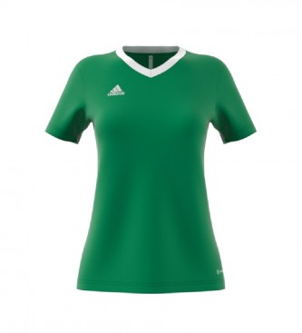adidas Entry 22 green T-shirt
