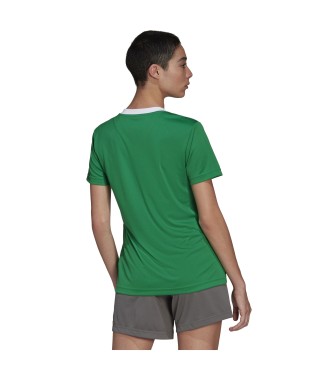 adidas T-shirt verde entrata 22