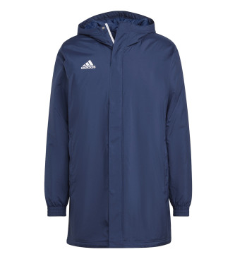 adidas Chaqueta Ent22 Stad azul