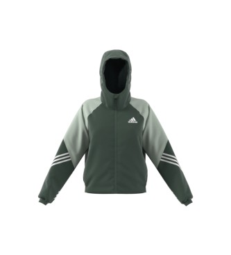 adidas Back to Sport hooded jacket green