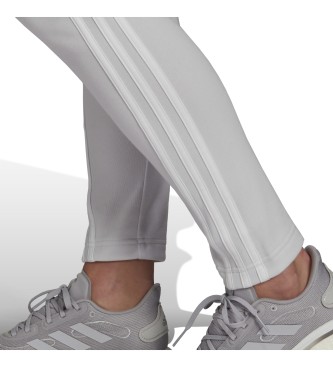 adidas Chndal adidas Sportswear Energize gray