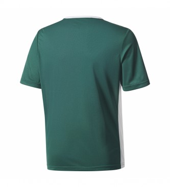adidas Camiseta Entrada 18 JSYY verde oscuro