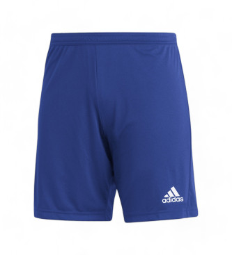 adidas Wpis 22 Szorty niebieskie