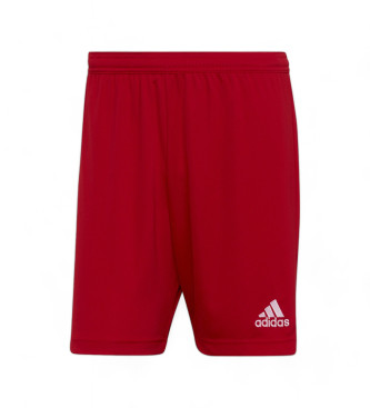 adidas Entre 22 Short rouge 