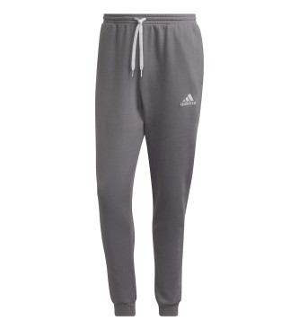 adidas Broek Entrada 22 grijs