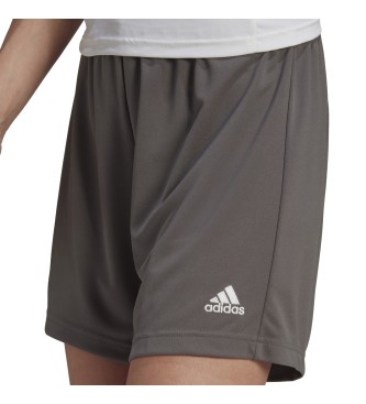 adidas Entrada 22 shorts gris