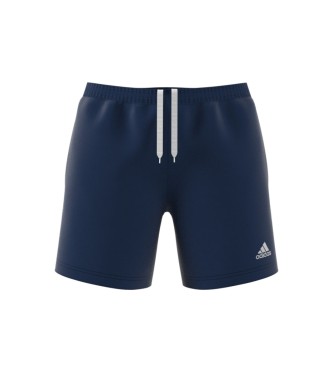 adidas Training shorts Entrada 22 blue