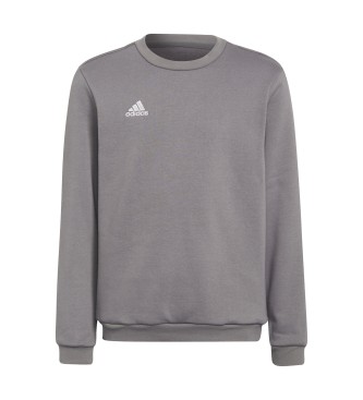 adidas Entry 22 gray sweatshirt