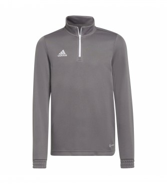 adidas Training sweatshirt Entrada 22 gray