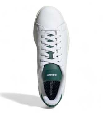 adidas Advantage Sneakers biały