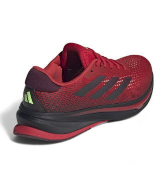 adidas Trenerzy Supernova Rise bordowy