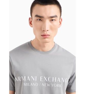 Armani Exchange Milan T-Shirt grau