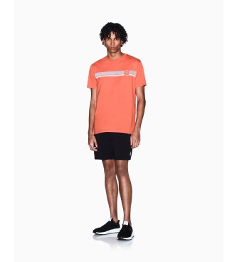 A|X Armani Exchange T-shirt Stripe rust