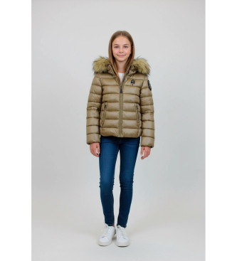 Blauer Ivoor goudbruine vacht