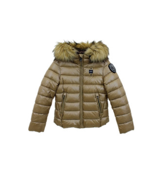 Blauer Ivoor goudbruine vacht