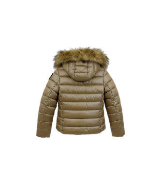 Blauer Ivoor goudbruine vacht