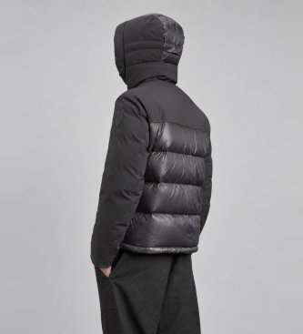 Blauer Ruisseau Plumifère gris