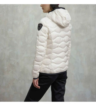 Blauer Plumfero de ondas Camelia blanco