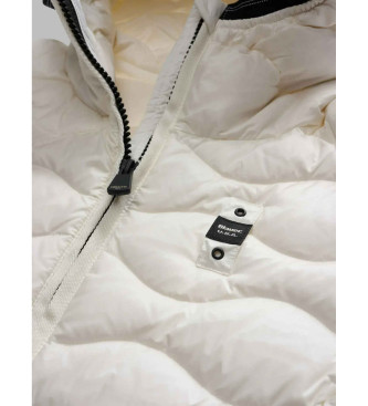Blauer Plumfero de ondas Camelia blanco