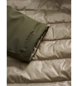 Blauer Plumfero reversible Ballard verde