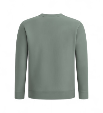 BOSS Jersey en felpa verde