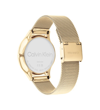 Calvin Klein Golden Analogue Fashion Watch