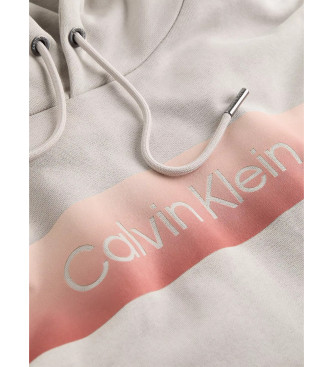 Calvin Klein Felpa con logo lineare sul petto grigio