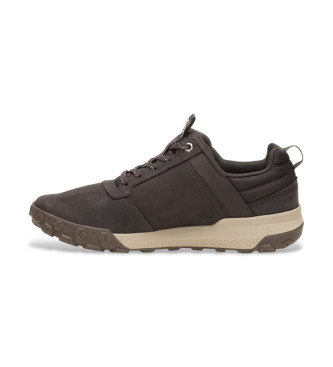 Caterpillar Trainers Hex Ready Low brown