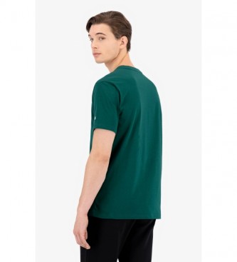 camiseta champion verde
