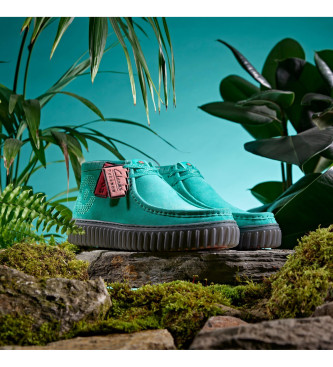 Clarks Torhill Explore Schuhe in Trkis