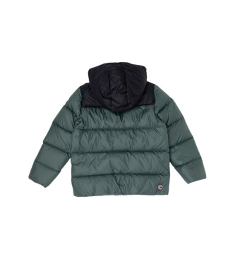 Colmar Plum�fero bicolor con capucha verde