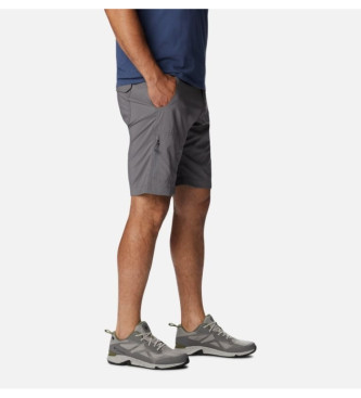 Columbia Silver Ridge Bermuda shorts grey