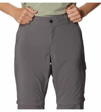 Columbia Silver Ridge Convertible Pants grijs