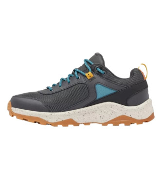 Columbia Trainers Trailstorm Ascend grey