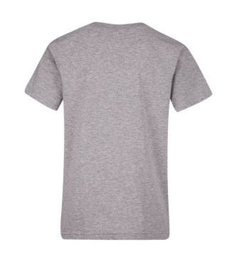 Converse Camiseta Chuk gris