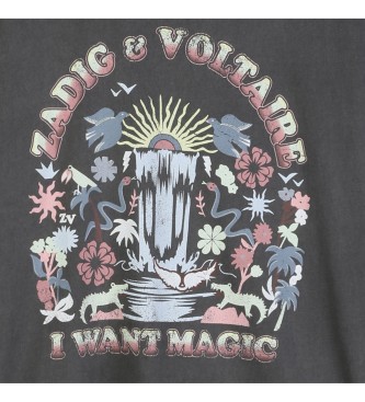 Zadig & Voltaire T-shirt M.C.grey