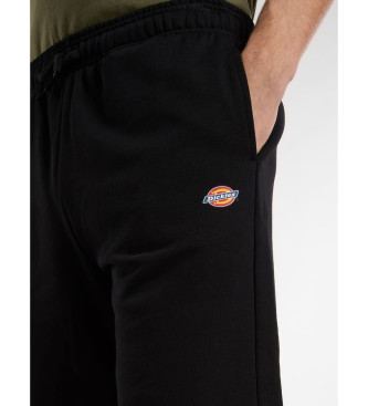 Dickies Szorty Mapleton w kolorze czarnym