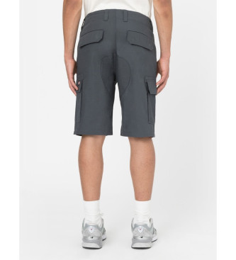 Dickies Millerville Shorts grau