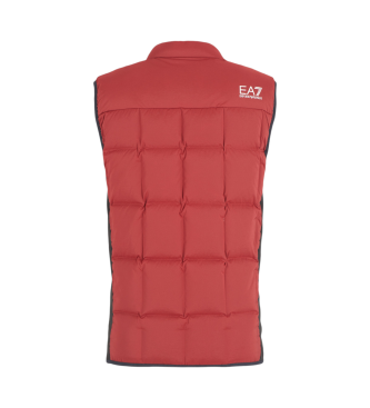 EA7 Gilet in piumino bordeaux